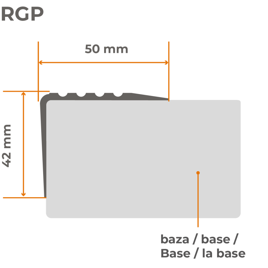 RGP profilé d'escalier antidérapant 50x42mm 1,5m noir/argenté